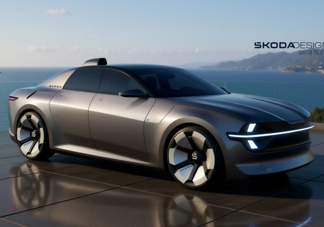 skoda 1000