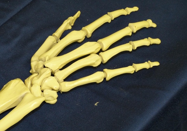 biomateriał 