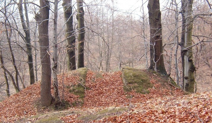 krzykawka