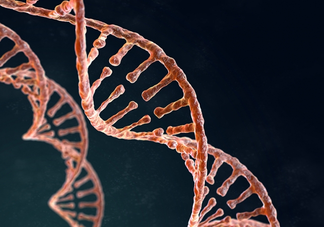 badanie dna